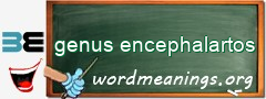 WordMeaning blackboard for genus encephalartos